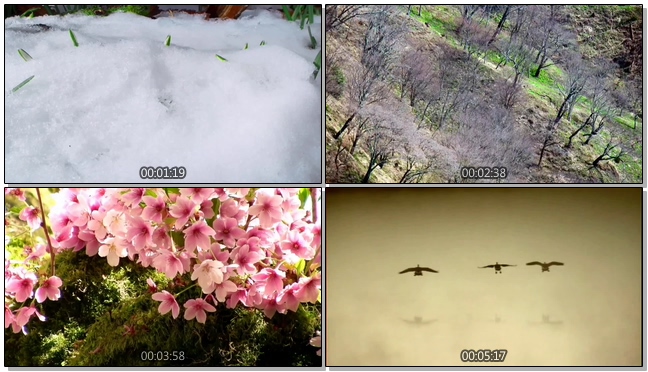 神奇大自然背景视频素材 视频素材免费下载 模板天空