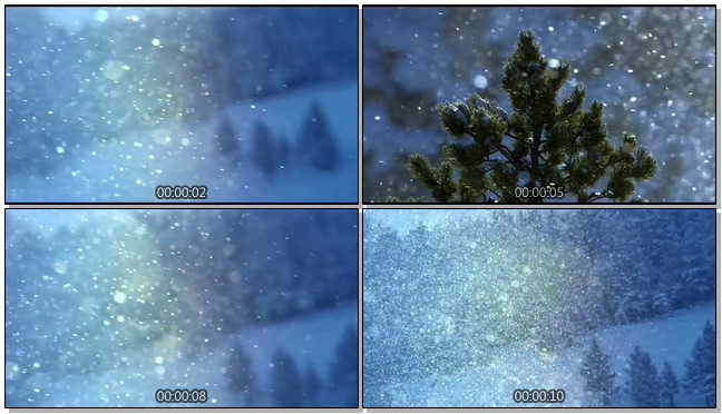 下雪模板下载 免费的下雪素材 视频图片 模板天空