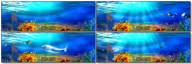 唯美梦幻的卡通珊瑚鱼游动实拍视频