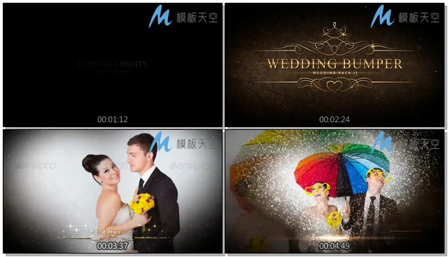 高端大气星空主题婚庆婚礼视频AE模板