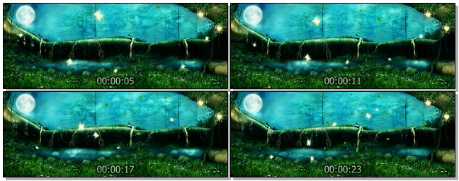 唯美的月下森林美景视频素材