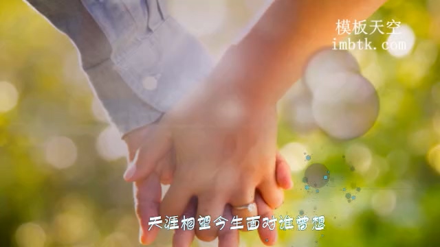 唯美温馨的婚礼MV片头视频会声会影模板
