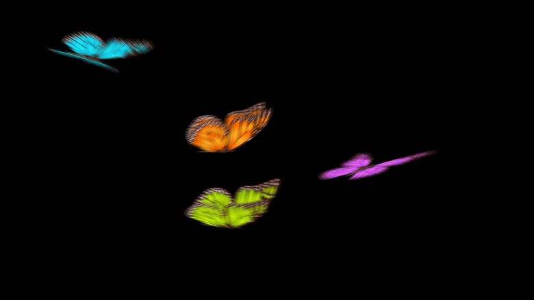 蝴蝶从左边飞过的视频素材可抠图像