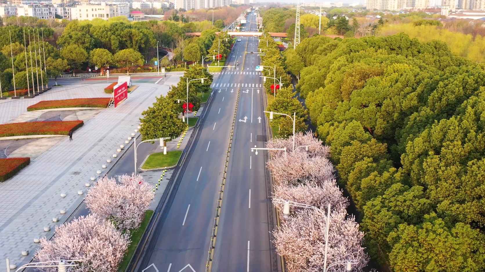 4K航拍城市樱花道路视频素材